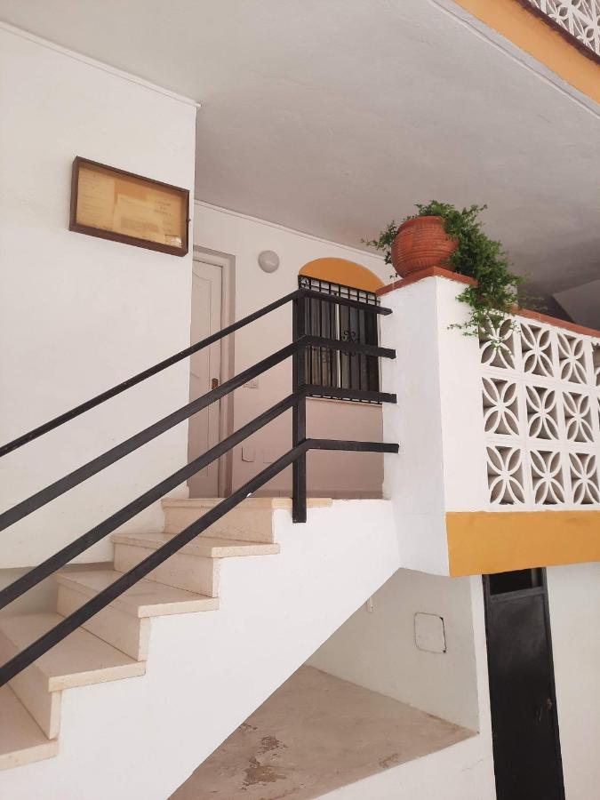 Feel At Home At Tamara Apartment - Two Steps To The Pool 托雷莫利诺斯 外观 照片
