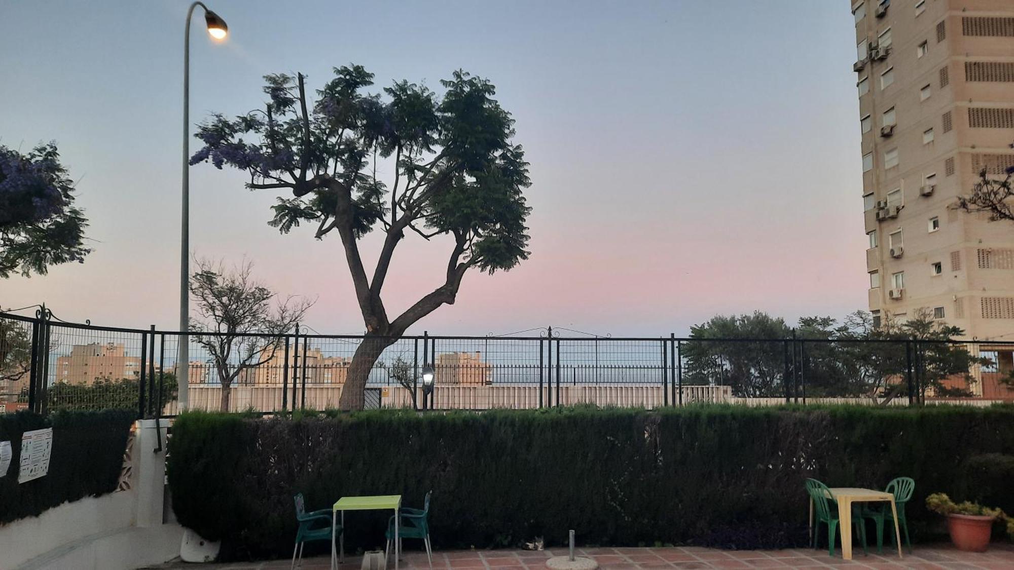 Feel At Home At Tamara Apartment - Two Steps To The Pool 托雷莫利诺斯 外观 照片
